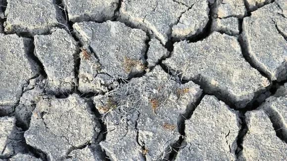 oon-temperatura-v-yevropi-zrosla-bilsh-nizh-vdvichi