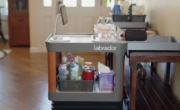 u-ssha-prezentuvali-robota-yakiy-dopomagatime-litnim-lyudyam-u-povsyakdennomu-zhitti