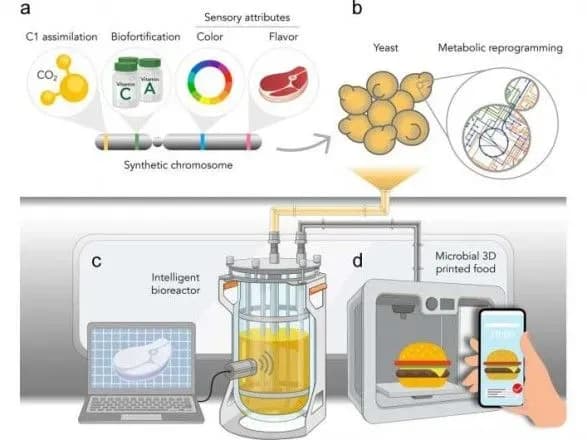 prosto-doday-drizhdzhi-naukovtsi-pridumali-yak-goduvati-lyudey-pid-chas-trivalikh-ekspeditsiy-u-kosmosi