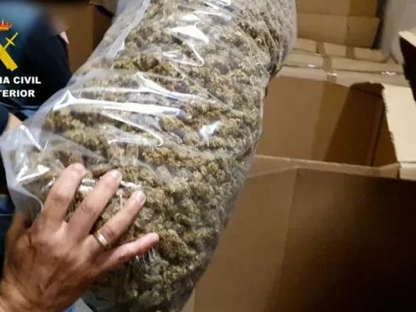 ispanska-politsiya-viluchila-naybilshu-v-istoriyi-partiyu-marikhuani-vartistyu-64-mln-yevro