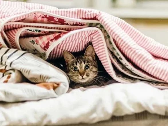 yak-zigritisya-u-razi-vidsutnosti-opalennya-vdoma-poradi-eksperta