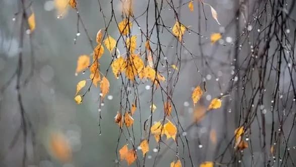 listopad-2022-viyavivsya-odnim-iz-nayvologishikh-u-kiyevi-za-ostanni-140-rokiv