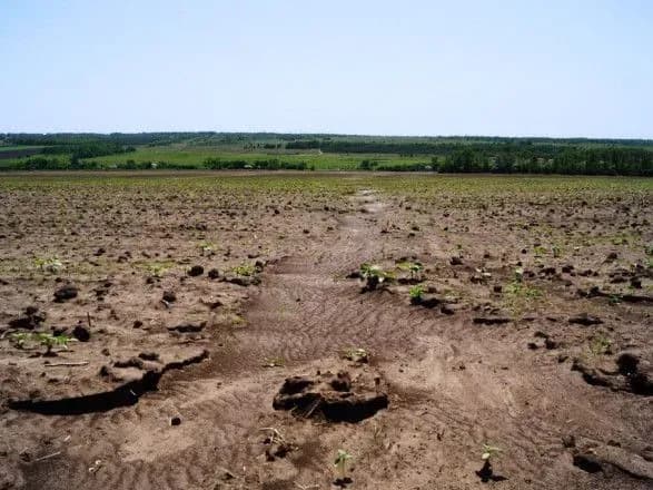 vlada-ssha-vidilit-75-mln-dolariv-na-pereselennya-trokh-plemen