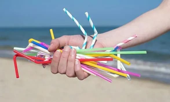 frantsiya-zaboronit-odnorazove-pakuvannya-ta-posud-u-restoranakh-shvidkogo-kharchuvannya