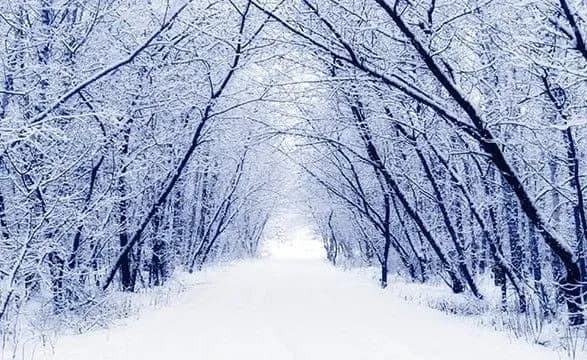 na-ukrayintsiv-protyagom-tizhnya-ochikuye-minliva-pogoda-inodi-z-anomalnim-teplom-prognoz