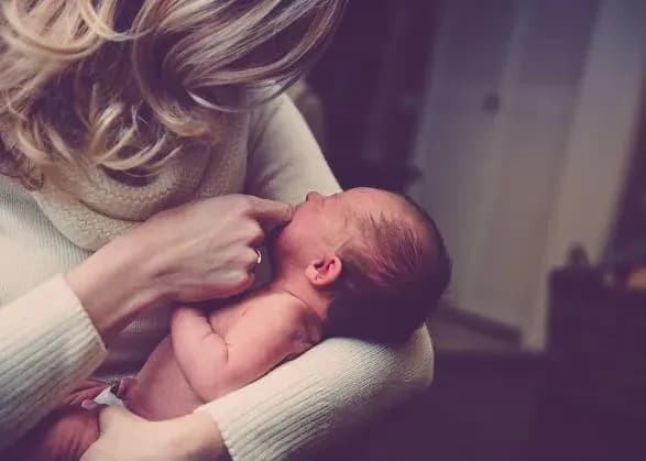 na-30-menshe-ditey-i-na-5-bilshe-shlyubiv-pidsumki-11-misyatsiv-2022-roku