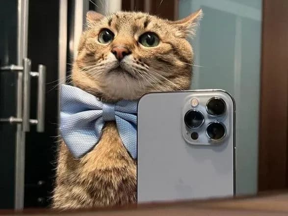 kit-stepan-z-kharkova-potrapiv-na-obkladinku-times-monako