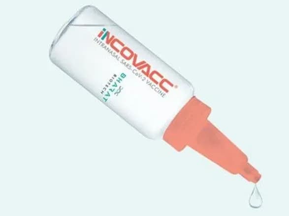 indiya-zapuskaye-svoyu-pershu-nazalnu-vaktsinu-vid-covid