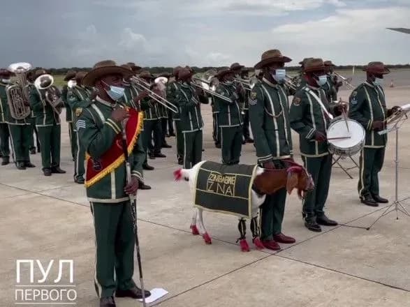 z-muzikantami-ta-kozoyu-yak-lukashenka-viprovodzhali-iz-zimbabve