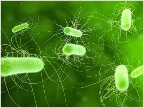 u-modulnomu-mistechku-dlya-pereselentsiv-u-lvovi-spalakh-kishkovoyi-infektsiyi-zakhvorilo-32-lyudey