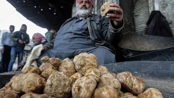 ugrupovannya-islamska-derzhava-vbilo-15-mislivtsiv-za-tryufelyami-v-siriyi