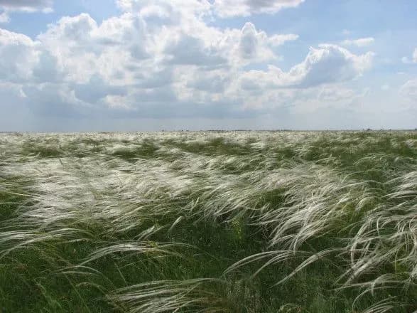 okupanti-vzyali-pid-kontrol-askaniyu-novu-na-khersonschini-zapovidnik