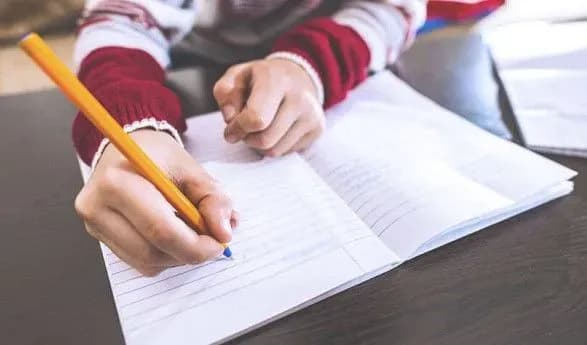 rada-pidtrimala-initsiativu-dodati-do-dpa-istoriyu-ta-inozemnu-movu