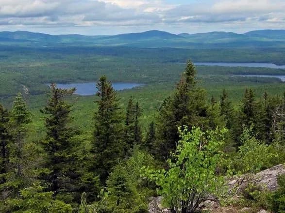 potyag-z-nebezpechnimi-vantazhami-ziyshov-iz-reyok-u-ssha