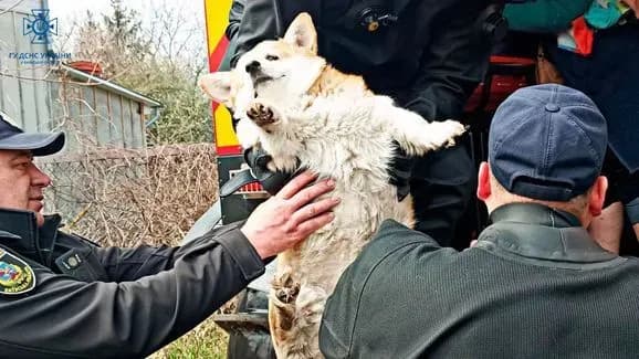 zalishayutsya-pidtoplenimi-5-oblastey-perevezeno-blizko-2-tisyach-lyudey-dsns