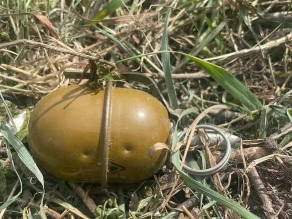 nebezpechna-znakhidka-na-kiyivschini-cholovik-kosiv-travu-y-natrapiv-na-granatu