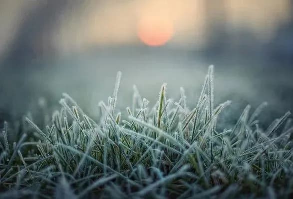 u-karpatakh-snig-u-travni-po-ukrayini-prognozuyut-zamorozki