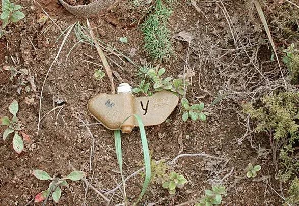 u-kharkivskiy-oblasti-cholovik-pidirvavsya-na-pelyusttsi