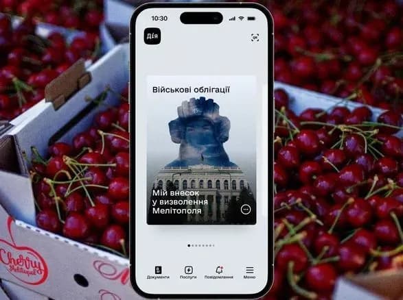 ukrayintsi-pridbali-v-diyi-obligatsiy-na-1-milyard-griven-fedorov