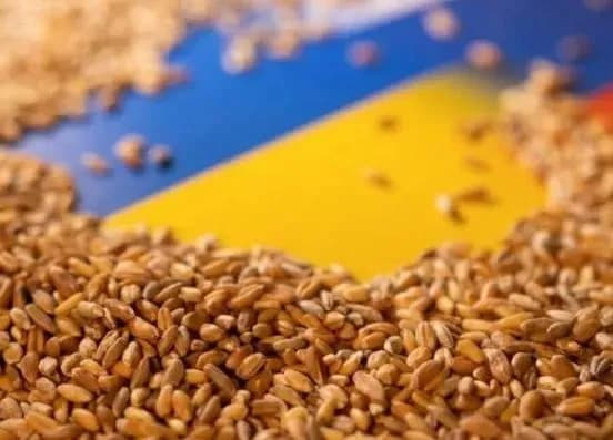 yevrokomisiya-prodovzhila-zaboronu-na-import-agroproduktsiyi-z-ukrayini-zmi