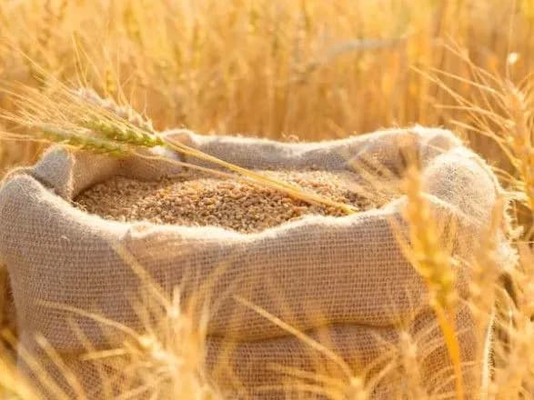 rumuniya-poprosit-yes-prodovzhiti-obmezhennya-na-import-zerna-z-ukrayini