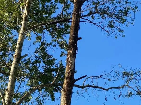 rosiyskiy-gubernator-zayaviv-pro-padinnya-dvokh-bezpilotnikiv-u-pidmoskovyi