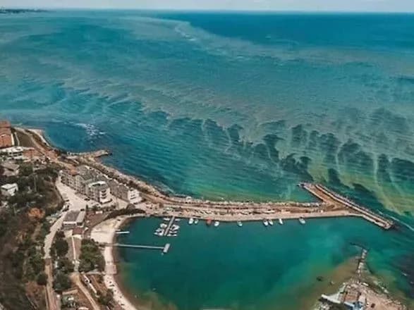 mayzhe-pivtori-tisyachi-kvadratnikh-kilometriv-chornogo-morya-sogodni-tsvite