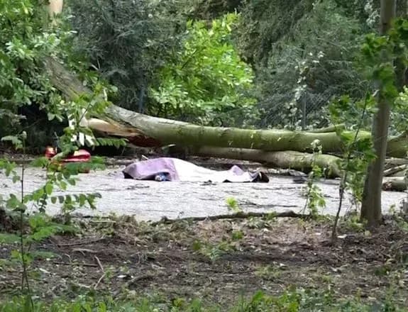 uragan-poli-syagnuv-uzberezhzhya-nimechchini-vzhe-ye-persha-zhertva