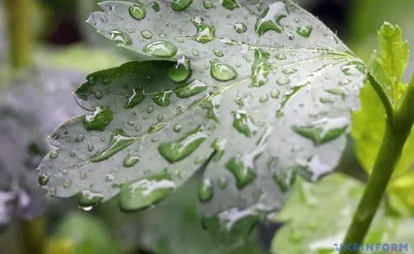 prognoz-pogodi-na-nedilyu-v-deyakikh-regionakh-ochikuyutsya-grozi