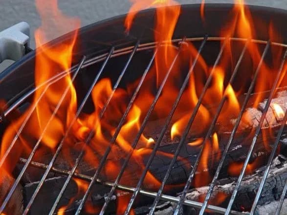 u-vidni-zaboronili-barbekyu-cherez-rizik-lisovikh-pozhezh