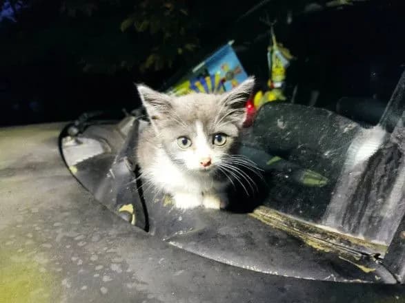 zrosla-kilkist-postrazhdalikh-cherez-ataku-na-mikolayiv-ye-zagibli