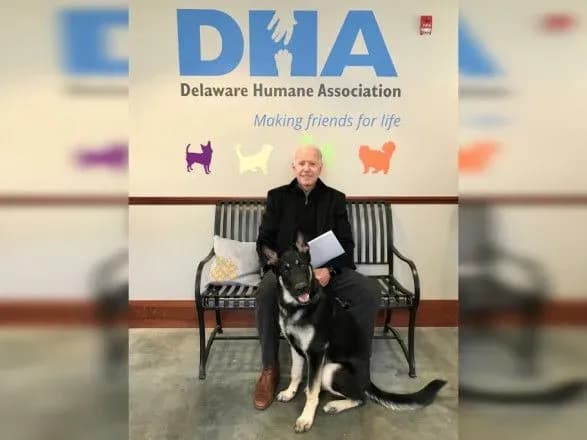 ulyublena-vivcharka-baydena-pokusala-simokh-agentiv-sekretnoyi-sluzhbi-ssha-za-chotiri-misyatsi-new-york-post