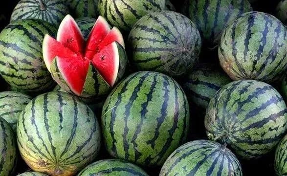 khersonschinu-zasiyali-bashtannimi-khocha-rozminovano-lishe-10-zemel