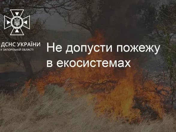 cherez-vorozhiy-obstril-na-zaporizhzhi-zgorilo-20-gektariv-iz-yachmenem