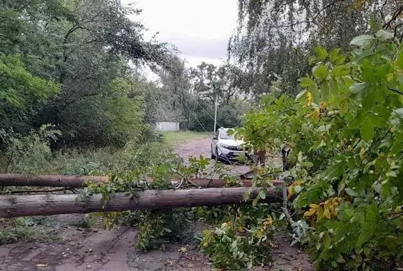 energetiki-rozpovili-pro-khid-robit-z-usunennya-naslidkiv-negodi-na-kiyivschini