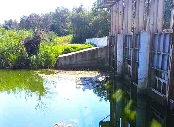 na-odeschini-cherez-speku-stavsya-zamor-ribi