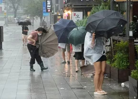 tayfun-kanun-nasunuvsya-na-pivdennu-koreyu-na-vulitsyakh-povaleni-dereva-zirvani-dakhi-perekriti-avtomagistrali