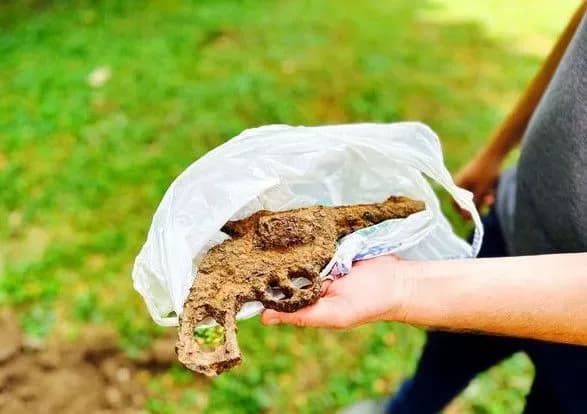 u-chernivtsyakh-komunalnik-pid-chas-korchuvannya-pnya-znayshov-starovinniy-revolver