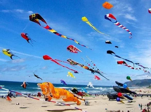 16-serpnya-vsesvitniy-den-povitryanikh-zmiyiv-den-cholovichoyi-krasi