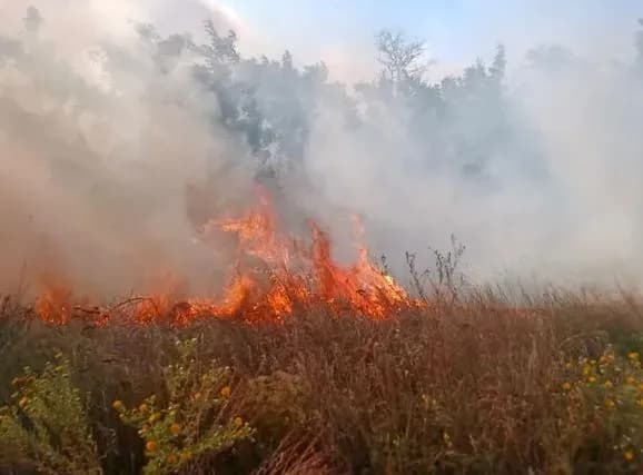 na-khersonschini-za-minulu-dobu-9-pozhezh-dsns