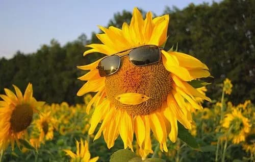 prognoz-pogodi-v-ukrayini-na-ponedilok-minliva-khmarnist-podekudi-do-37-gradusiv-tepla