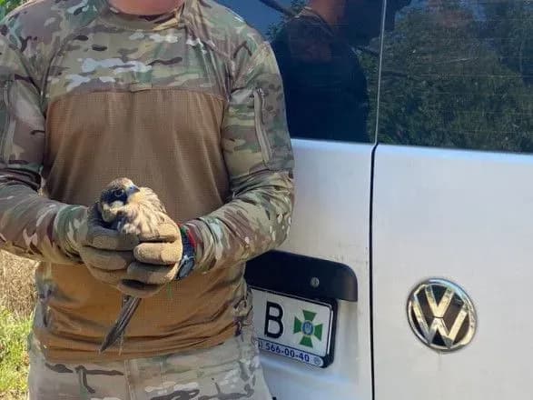 na-odeschini-viyskovi-vryatuvali-travmovanogo-pidsokolika