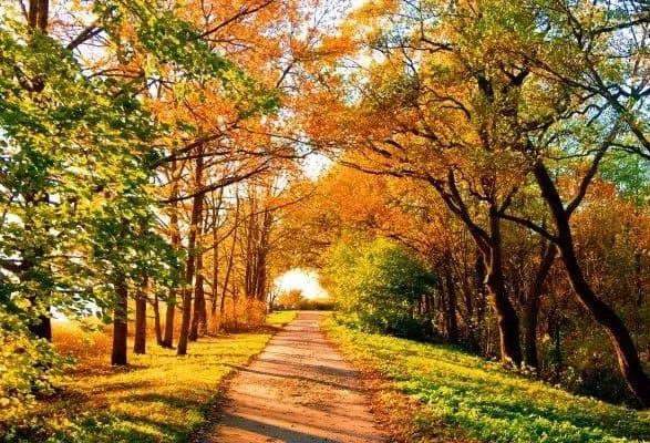 veresen-v-ukrayini-bude-teplim-ta-z-nestacheyu-doschiv-sinoptiki-dali-prognoz