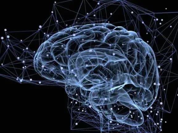 meta-rozroblyaye-potuzhnu-sistemu-shi-wsj