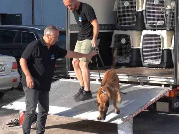 v-ukrayinu-pribula-tretya-partiya-sluzhbovikh-sobak-z-yevropi