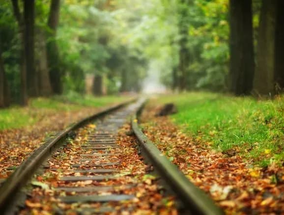 ukrzaliznitsya-zminit-marshruti-deyakikh-poyizdiv-u-zhovtni-ta-listopadi-cherez-remontni-roboti