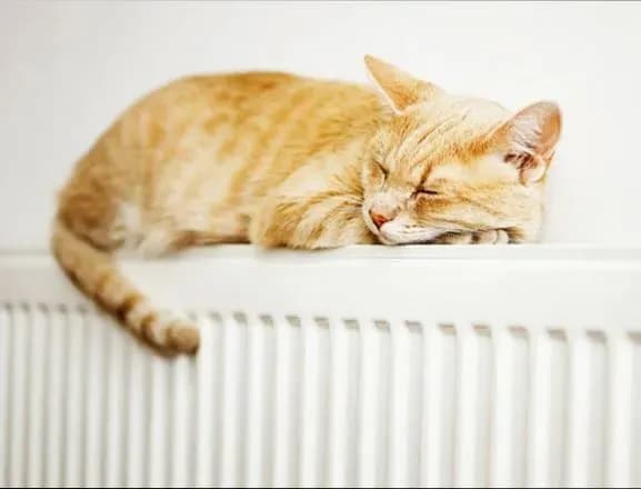 pidgotovka-do-opalyuvalnogo-sezonu-v-khersoni-blizko-na-80-vzhe-gotovi-komunikatsiyi