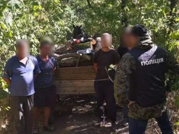 nezakonna-virubka-botanichnogo-zakaznika-pavlivskiy-na-odeschini-figurantam-povidomleno-pro-pidozru