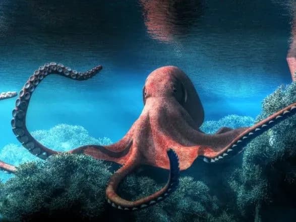 8-zhovtnya-vsesvitniy-den-vosminoga-den-biometriyi-yaki-profesiyni-svyata-vidznachayutsya-v-ukrayini