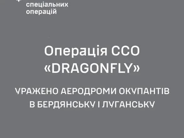 sili-oboroni-znischili-na-aerodromakh-berdyanska-ta-luganska-9-gelikopteriv-i-sklad-boyepripasiv-rf